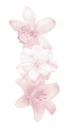 Profielfoto van ☆*: .。.emilyy .。.:*☆