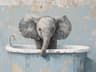 Ảnh hồ sơ của Elevated Elephant