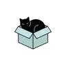 Tekijän The Organized Cat profiilikuva