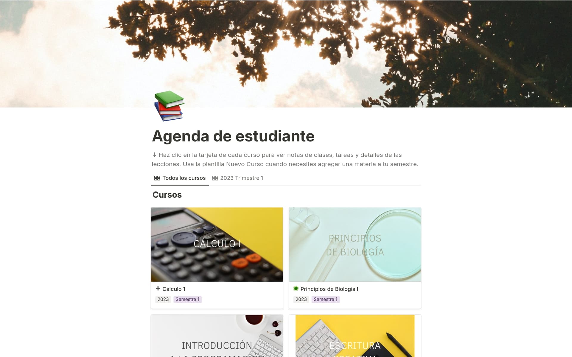 Imagen para turn-your-goals-into-habits